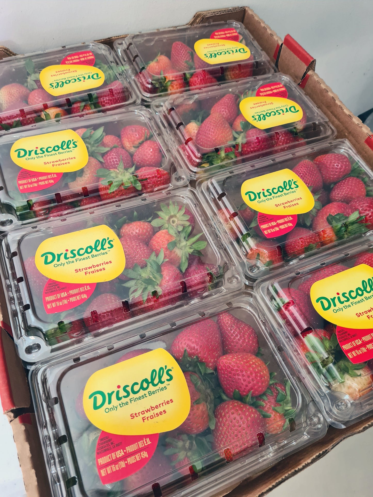 STRAWBERRIES (US) (454g)