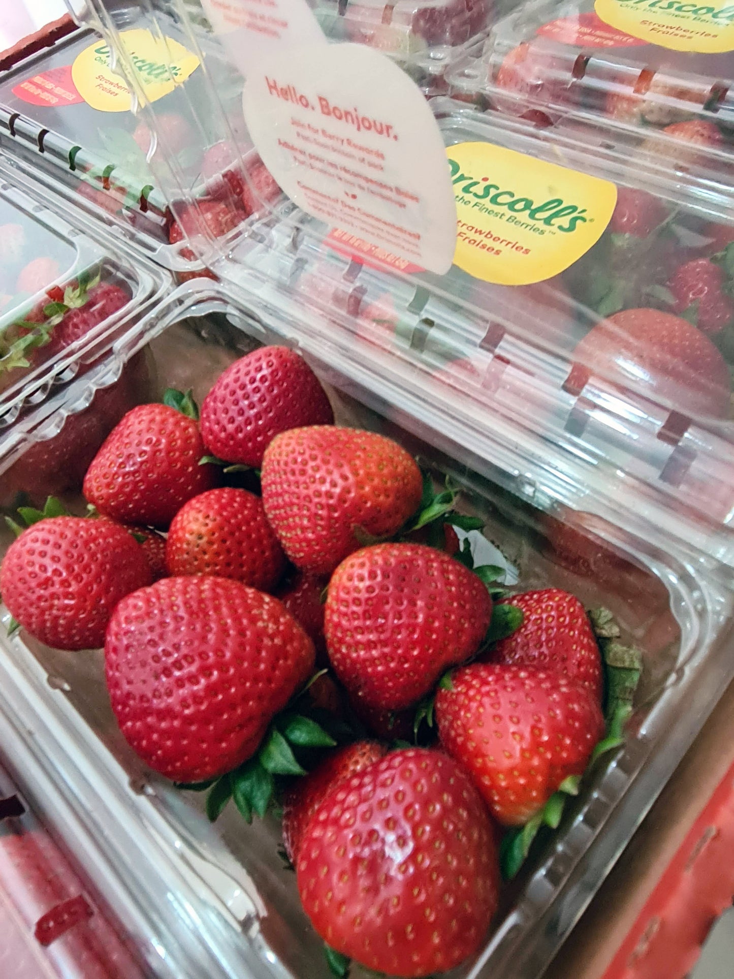 STRAWBERRIES (US) (454g)