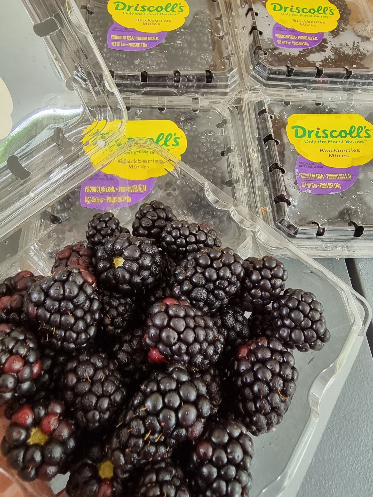 BLACKBERRIES (170g)